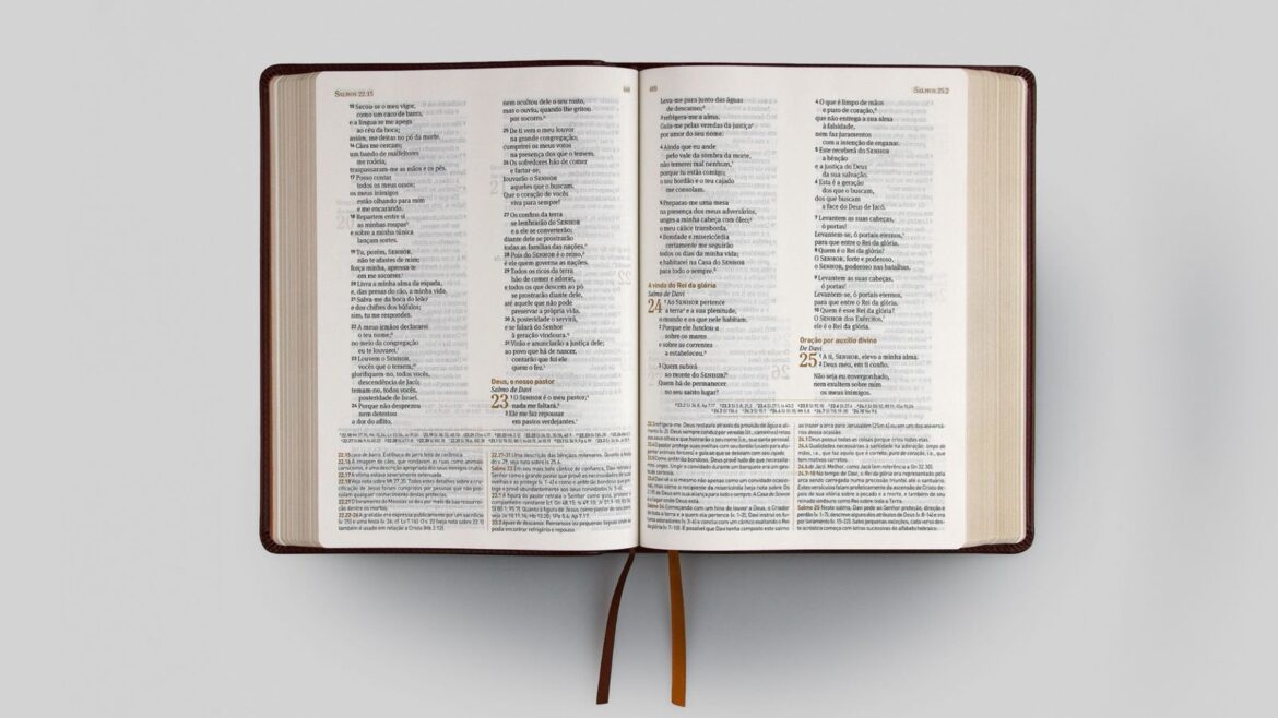 ‘classico-de-charles-c.-ryrie’:-nova-edicao-da-biblia-de-estudo-ganha-versao-naa