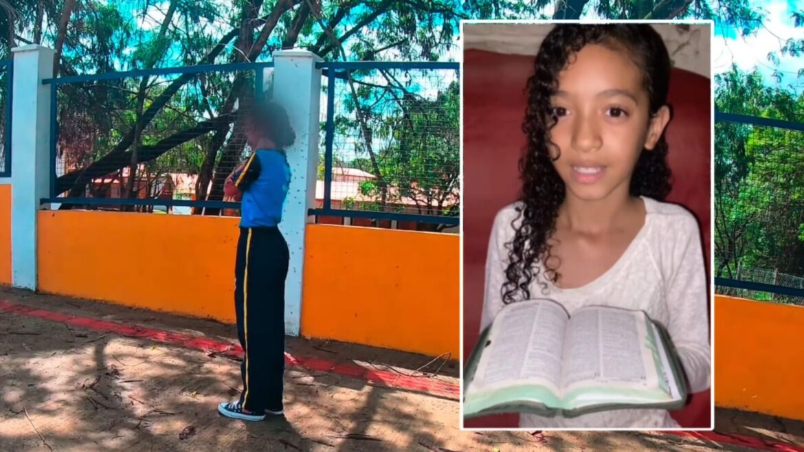 menina-crista-atacada-por-enxame-de-abelhas-e-salva-por-motoboy-em-mg
