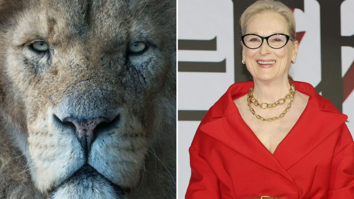 cristaos-questionam-escolha-de-meryl-streep-para-dar-voz-a-aslan-em-novo-filme-de-“narnia”